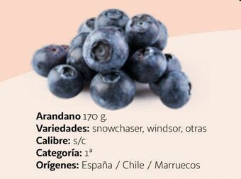 Alcampo Arándanos oferta