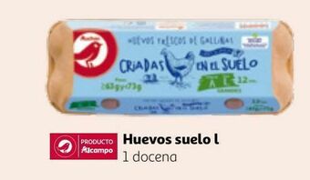 Alcampo Huevos alcampo oferta
