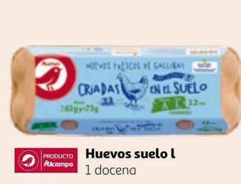 Alcampo Huevos alcampo oferta