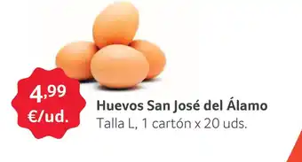 GM Cash & Carry Huevos San José del Álamo oferta