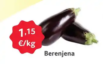 GM Cash & Carry Berenjena oferta