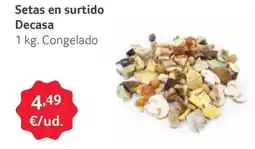 GM Cash & Carry Setas en surtido Decasa oferta