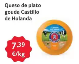 GM Cash & Carry Queso de plato gouda Castillo de Holanda oferta