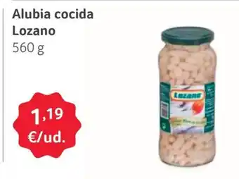 GM Cash & Carry Alubia cocida Alubia cocida Lozano 560 g oferta