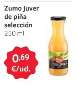 GM Cash & Carry Zumo Juver de piña selección oferta