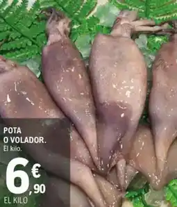 E.Leclerc Pota o volador oferta