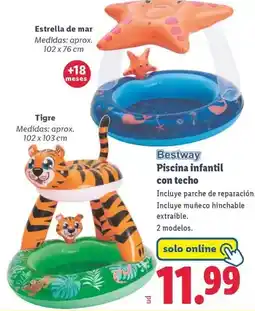 Lidl Estrella de mar oferta