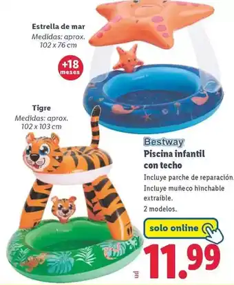 Lidl Estrella de mar oferta