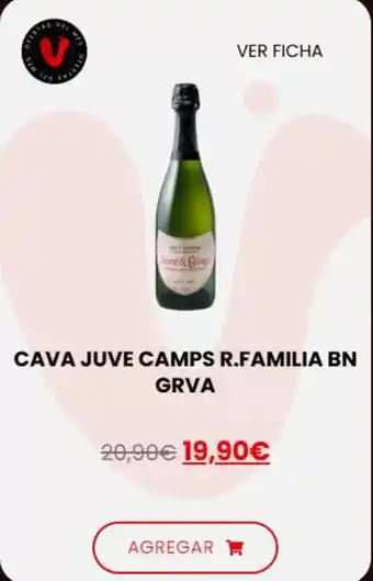 Vinalium Juve y camps reserva familia - cava bn grva oferta