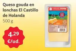 GM Cash & Carry Castillo de holanda - queso gouda en lonchas oferta