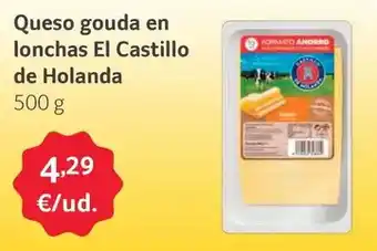 GM Cash & Carry Castillo de holanda - queso gouda en lonchas oferta