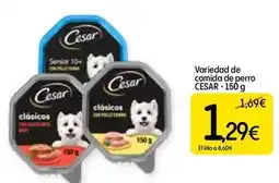 Dialprix Cesar - variedad de comida de perro oferta