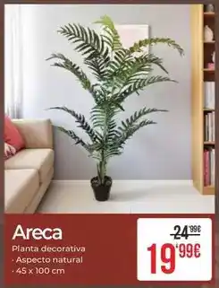 Embargos a lo bestia Areca oferta