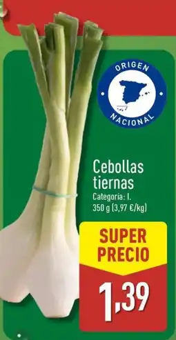 ALDI Cebollas tiernas oferta