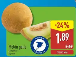 ALDI Melón galia oferta