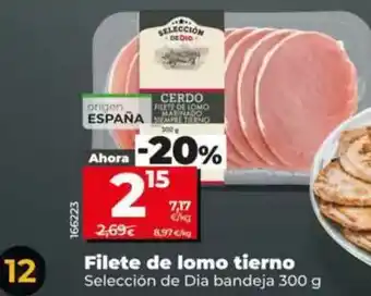 Dia Seleccion de dia - filete de lomo tierno oferta