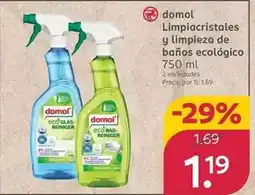 Rossmann Domol - limpiacristales y limpieza de banos ecologico oferta