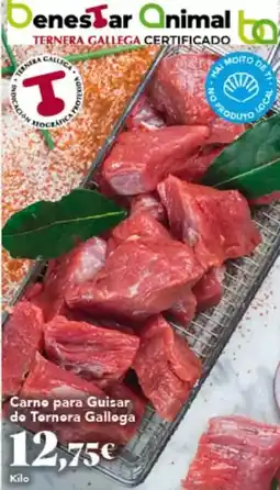 Gadis Gallega - carne para guitar de ternera oferta
