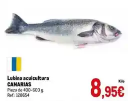 Makro Lubina acuicultura oferta