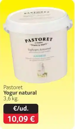 GM Cash & Carry Pastoret - yogur natural oferta