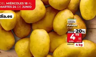 Dia Patatas oferta