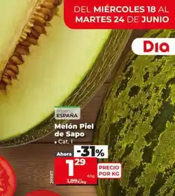 Dia Melón piel de sapo oferta