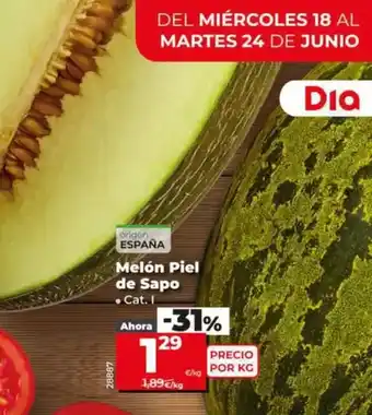 Dia Melón piel de sapo oferta
