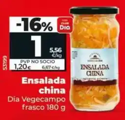 Dia Dia vegecampo - ensalada china frasco 180 g oferta