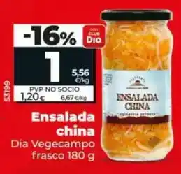 Dia Dia vegecampo - ensalada china frasco 180 g oferta
