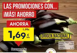 Dia Seleccion de dia - pinchos de pollo barbacoa oferta
