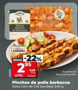 Dia Seleccion de dia - pinchos de pollo barbacoa oferta