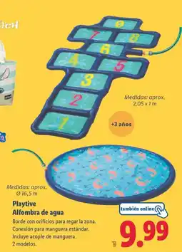 Lidl Playtive Alfombra de agua oferta