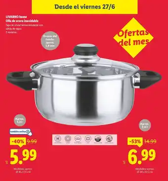 Lidl LIVARNO home Olla de acero inoxidable oferta