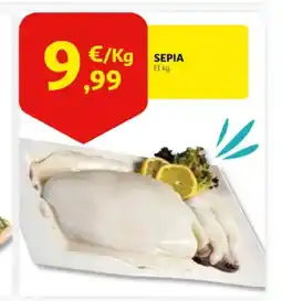 Alcampo Sepia oferta