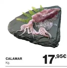Supercor Calamar oferta