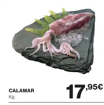 Supercor Calamar oferta