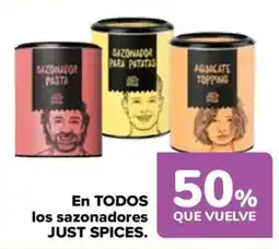 Carrefour JUST SPICES En todos los sazonadores oferta