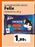 Hiperber Felix - alimentacion gatos oferta