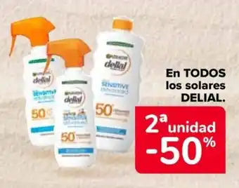 Carrefour DELIAL En todos los solares oferta