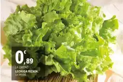 E.Leclerc Lechuga rizada oferta
