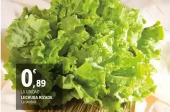 E.Leclerc Lechuga rizada oferta