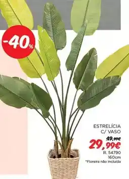 Espaço Casa Estrellcia c/ vaso oferta