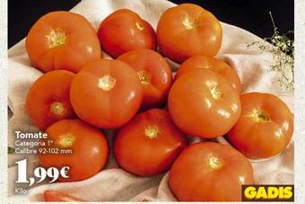 Gadis Tomate oferta