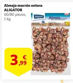 Alcampo ALIGATOR Almeja marrón entera oferta