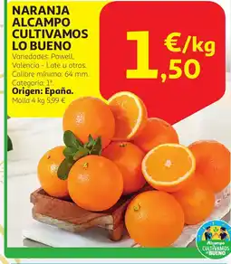 Alcampo Naranja alcampo culticamos lo bueno oferta