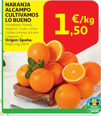 Alcampo Naranja alcampo culticamos lo bueno oferta