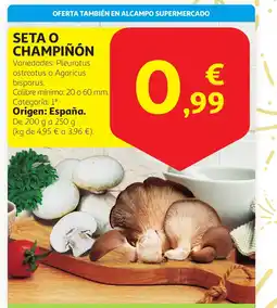Alcampo Seta o champiñón oferta
