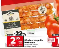 Maxi Dia Pinchos de pollo barbacoa oferta