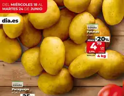 Maxi Dia Patatas oferta