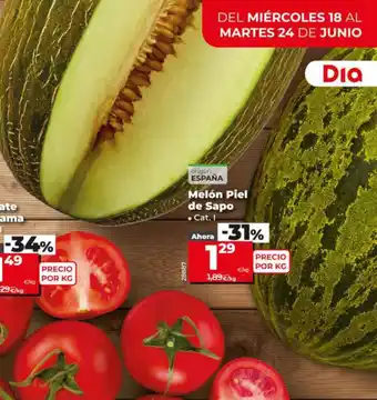 Maxi Dia Melón Piel de Sapo oferta